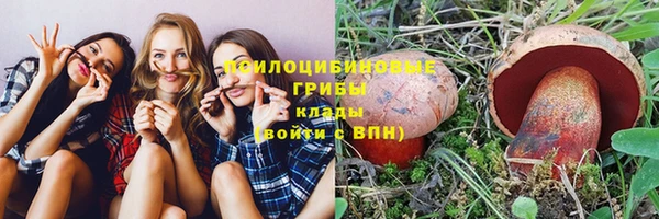 PSILOCYBIN Алзамай
