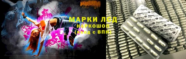 PSILOCYBIN Алзамай