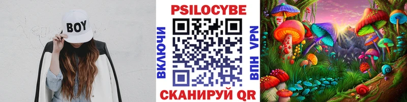 Псилоцибиновые грибы ЛСД  сайты даркнета состав  Жуков  hydra зеркало 